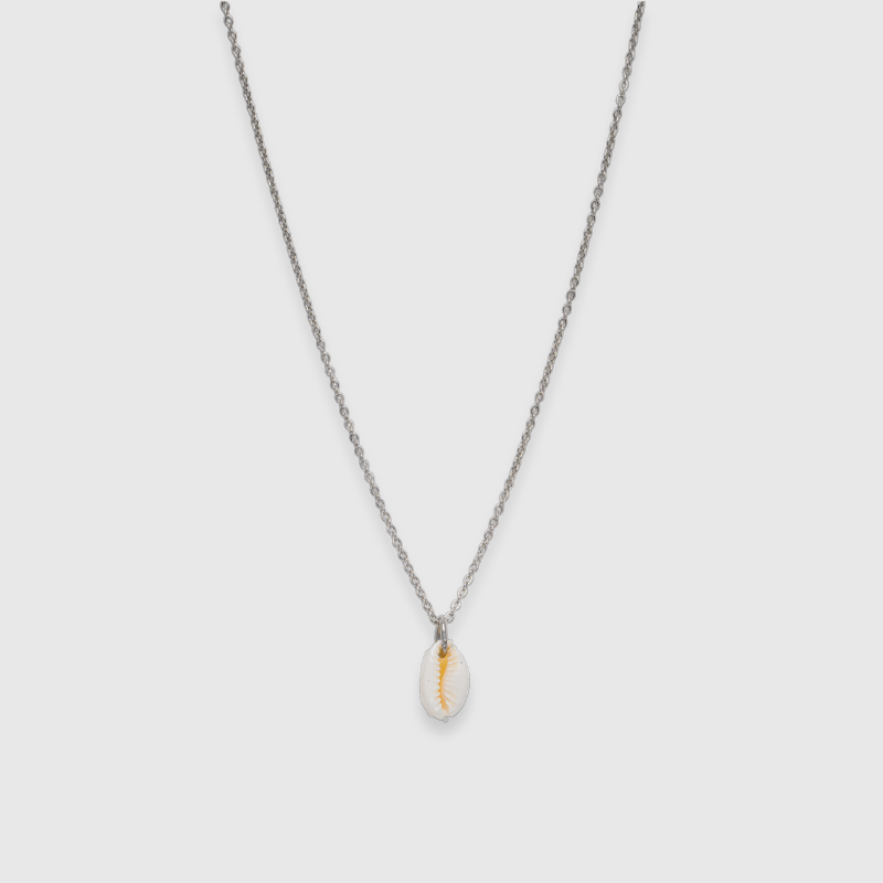 Kauri Shell (gold)